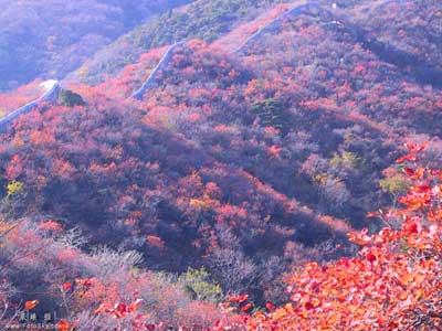 Fragrant Hills Park